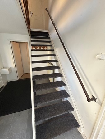 Marshallsingel 23014.JPG